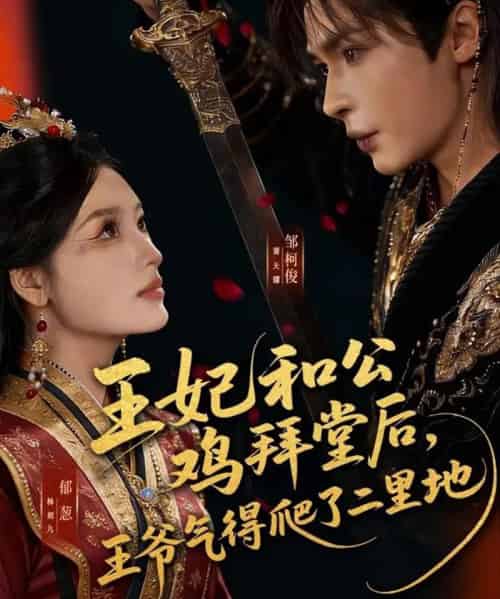 王妃和公鸡拜堂后,王爷气得爬了二里地(73集全)邹柯俊&郁葱-初遇资源网