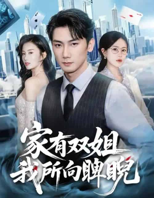 家有双姐，我所向睥睨（60集全）暖小新＆孙琳-初遇资源网