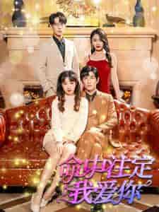 命中注定我爱你（99集）-初遇资源网