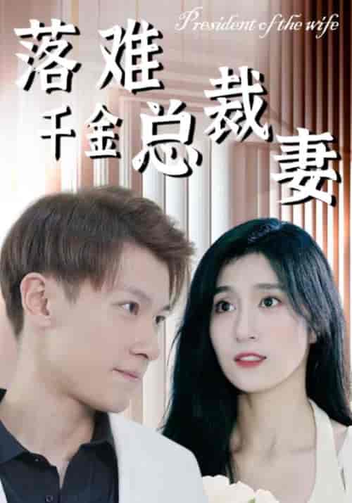 落难千金总裁妻（94集全）霍千山＆南暮雪-初遇资源网