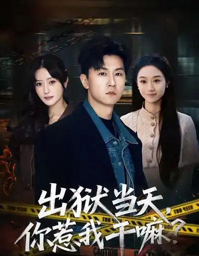 出狱当天，你惹我干嘛？（62集全）王鹏＆郑皓月-初遇资源网