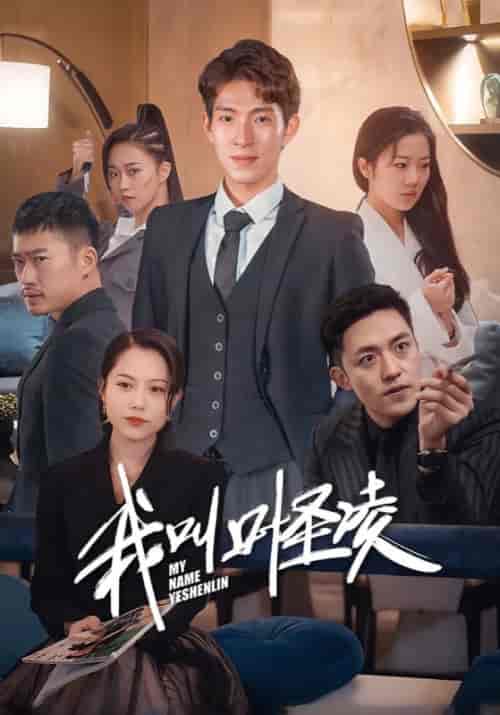 我叫叶圣凌（88集全）叶圣凌＆江东-初遇资源网