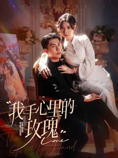 我手心里的玫瑰（91集全）李佳琛＆韩琪-初遇资源网