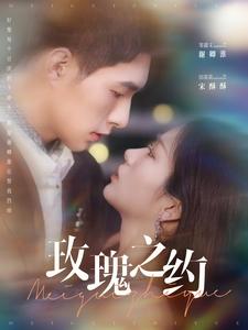 玫瑰之约（95集）邹盛文＆田苗苗-初遇资源网