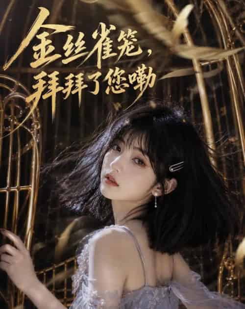 金丝雀笼，拜拜了您嘞（40集全）AI-初遇资源网