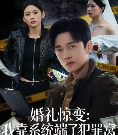 婚礼惊变:我靠系统端了犯罪窝(80集全)郏元栋&李坤怡-初遇资源网