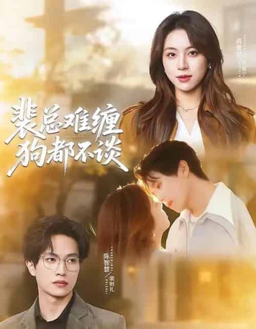 裴总难缠狗都不谈(65集全)陈智慧&高曼尔-初遇资源网