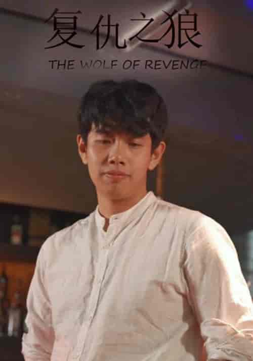 复仇之狼（100集全）王珂＆小鱼-初遇资源网