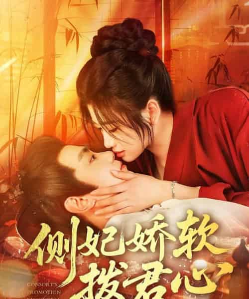 侧妃娇软拨君心(116集)钟政&宗妍初-初遇资源网