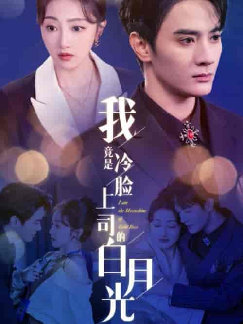 我竟是冷脸上司的白月光（80集全）陈冠峄＆海依凡-初遇资源网