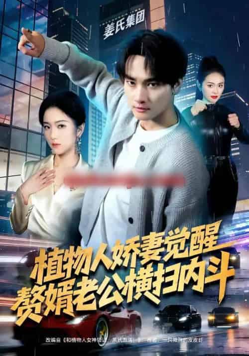 植物人娇妻觉醒，赘婿老公横扫内斗（80集全）刘国文＆薄艾莹-初遇资源网