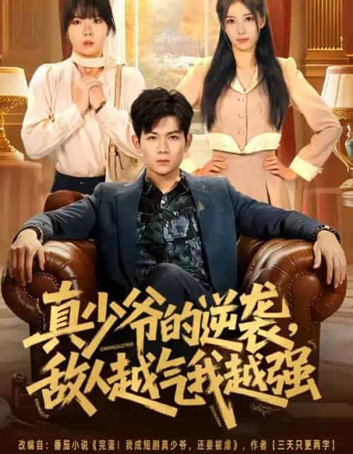 真少爷的逆袭，敌人越气我越强（78集全）孙羽中＆韩思懿-初遇资源网