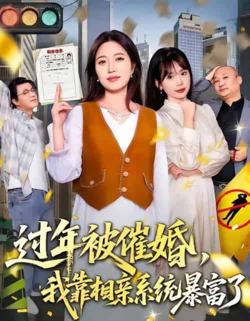 过年被催婚,我靠相亲系统暴富了(82集全)张艺文&王玉玺-初遇资源网