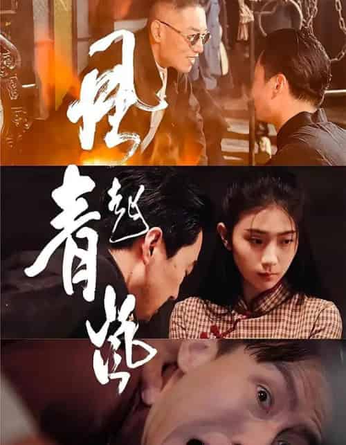 风起青岚（96集）-初遇资源网