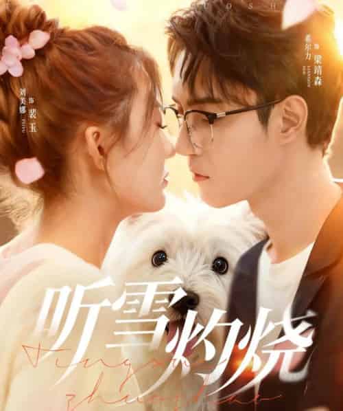 听雪灼烧（68集全）希尔力＆刘美娜-初遇资源网