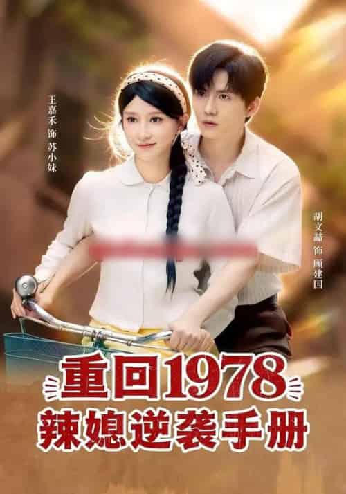 重回1978辣媳逆袭手册（62集全）胡文喆＆王嘉禾-初遇资源网