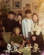 亲爱的母亲（31集全）刘泽坤＆陈碧霄-初遇资源网