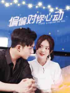 偏偏对你心动(99集)伍拾娇-初遇资源网