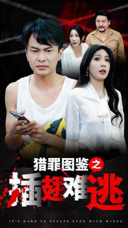 猎罪图鉴之插翅难逃（35集全）-初遇资源网