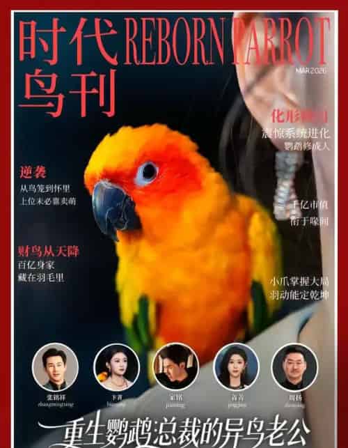 重生鹦鹉:总裁的异鸟老公(80集全)卞菁&郭嘉铭-初遇资源网