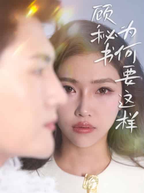 顾秘书为何要这样(53集全)赵佳伟&骆虹宇-初遇资源网