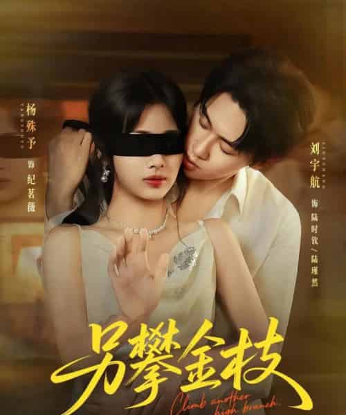 另攀高枝 另攀高枝