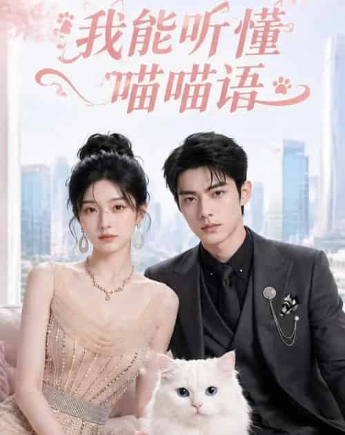 我能听懂喵喵语（70集全）AI - 夸克短剧