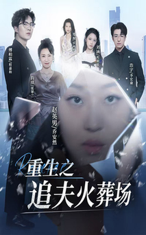 重生之追夫火葬场（35集全）-初遇资源网