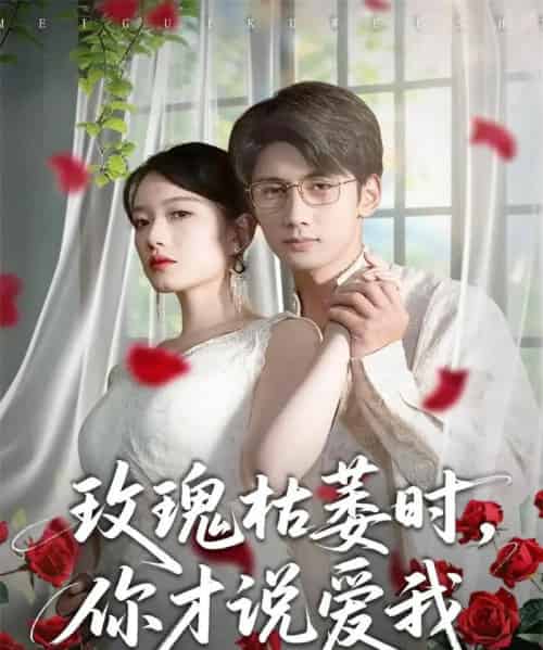 玫瑰枯萎时，你才说爱我（100集全）龚钦玥＆唐治璇-初遇资源网