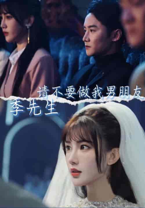 季先生请不要做我男朋友（80集全）季东升＆阿九-初遇资源网