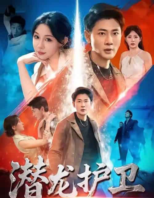潜龙护卫 潜龙护卫