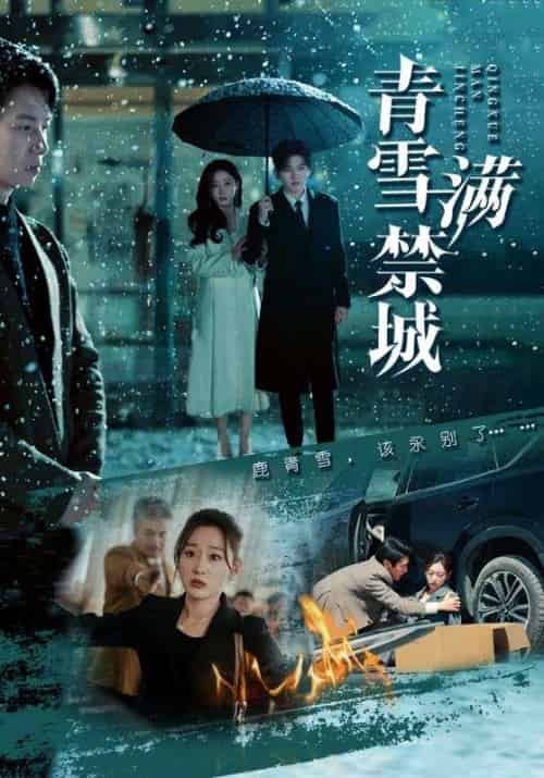 青雪满禁城（51集全）陈聿修＆刘亚倩-初遇资源网