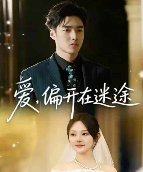 爱，偏开在迷途（63集全）林非梵＆张啸昂-初遇资源网