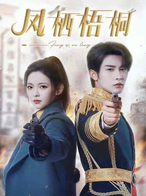 凤栖梧桐(68集全)申浩男&王子甲-初遇资源网