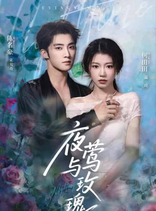 夜莺与玫瑰(66集)陈名豪&何田田-初遇资源网