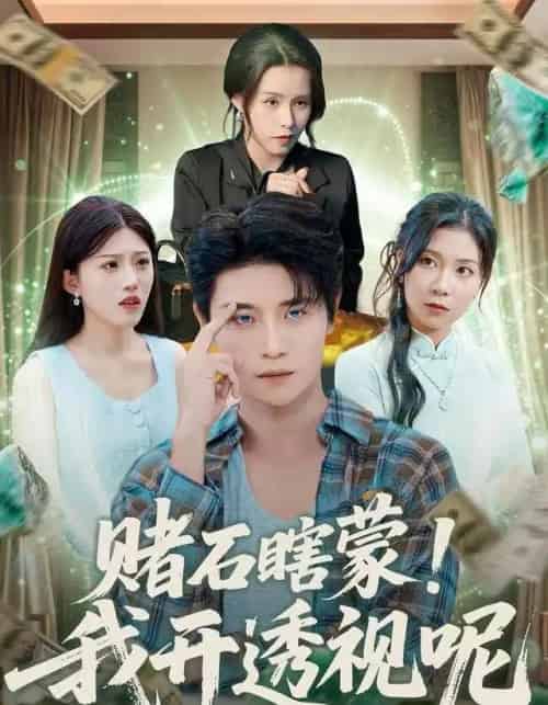 赌石瞎蒙!我开透视呢(81集全)李梓荧&刘方为-初遇资源网