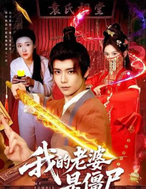 我的老婆是僵尸(118集全)谢蕊伊&夏锦沐-初遇资源网