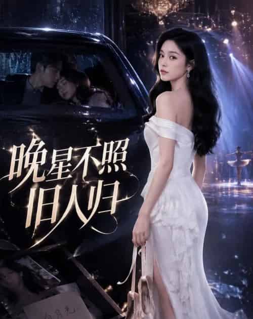 晚星不照旧人归 晚星不照旧人归