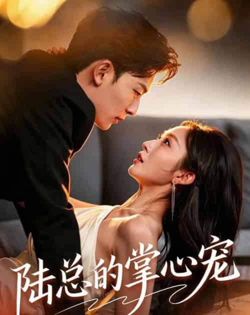 陆总的掌心宠(85集全)宋佳音&朱永强-初遇资源网