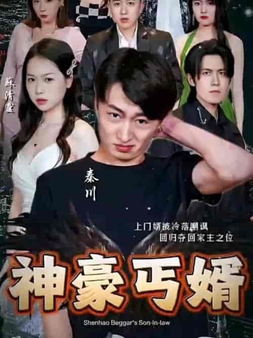 神豪丐婿(107集)-初遇资源网