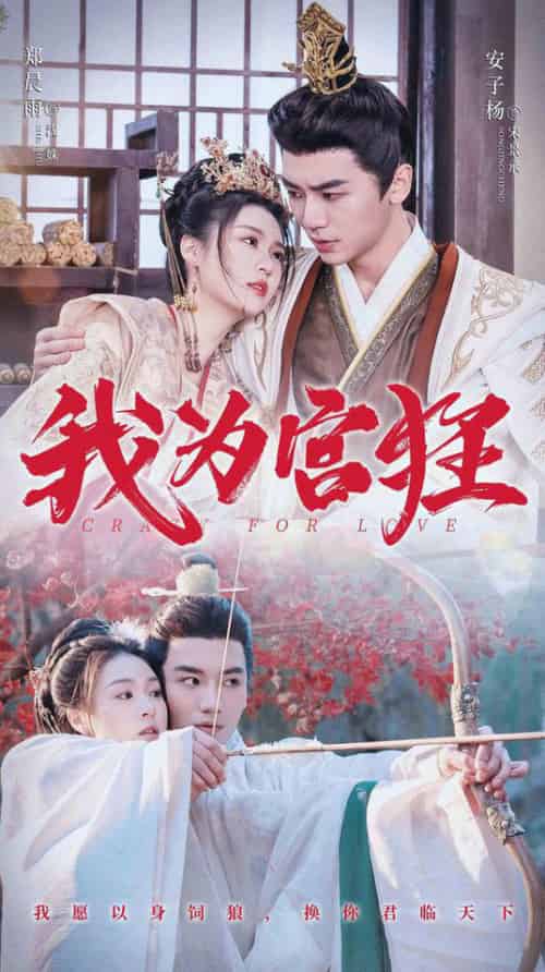 我为宫狂(59集全)安子杨&郑晨雨-初遇资源网