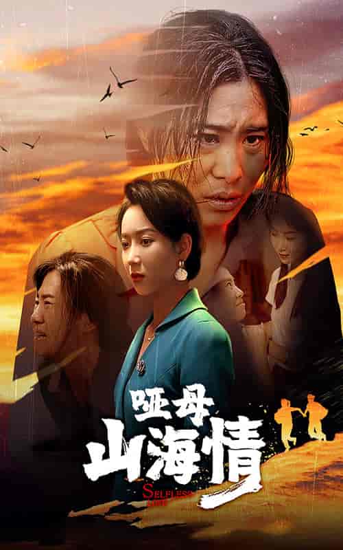 哑母山海情(43集)-初遇资源网