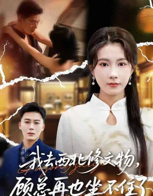 我去西北修文物，顾总再也坐不住了（46集全）曹嘉怡＆戴金鳞-初遇资源网