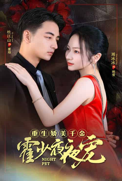 重生娇美千金霍少夜夜宠（82集）-初遇资源网