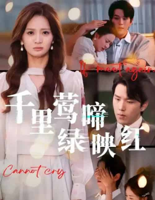 千里莺啼绿映红(63集全)罗嘉麒&刘美娜-初遇资源网