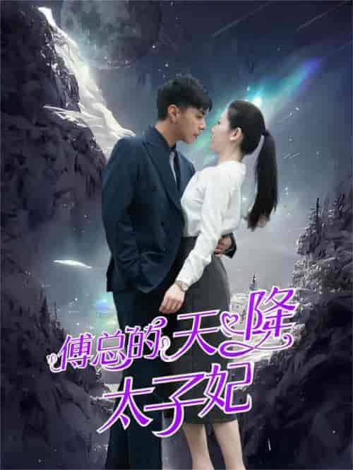 傅总的天降太子妃（86集）-初遇资源网