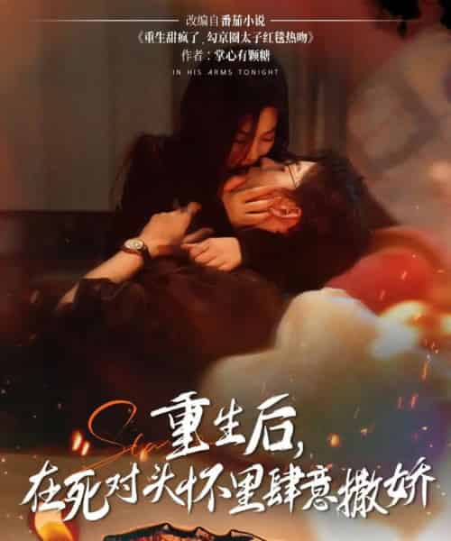 重生后在死对头怀里肆意撒娇（76集）张力壬＆张若辰-初遇资源网