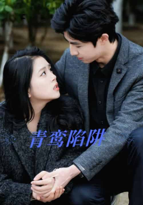 青鸾陷阱(42集全)姜峰&孟青-初遇资源网