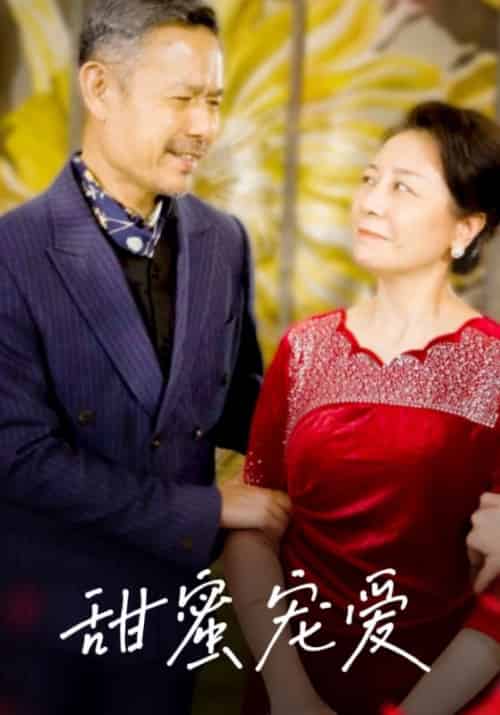 甜蜜宠爱（32集全）秦朗＆崔淑娟-初遇资源网