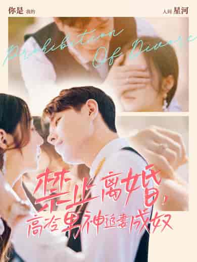 禁止离婚,高冷男神追妻成奴(57集全)王鑫&秦语喃-初遇资源网